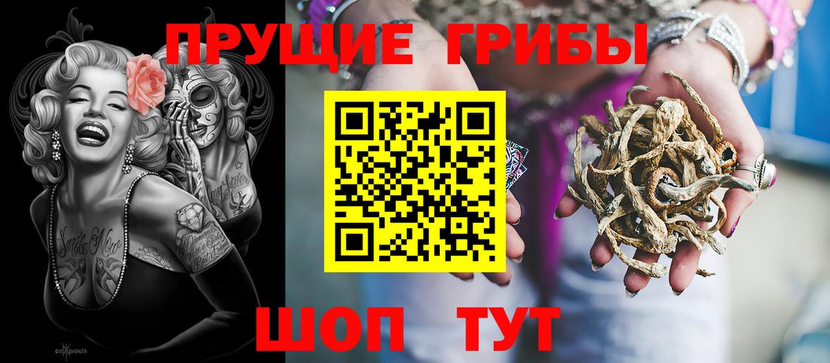 Галлюциногенные грибы Magic Shrooms  Вход с VPN  хочу наркоту  Ростов-на-Дону  Галлюциногенные грибы Cubensis 